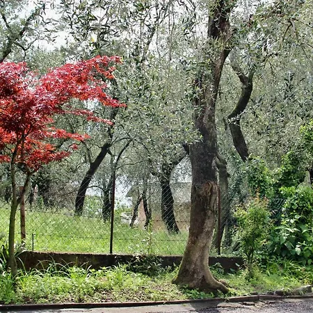 Ca' Otello Brenzone sul Garda